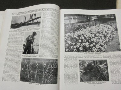 1905 COUNTRY CALENDAR MAGAZINE LOT OF 2 DIFFERENT ISSUES - VOL 1 # 1 - II 4269
