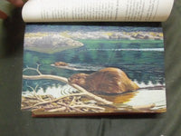 1954 THE ANIMAL KINGDOM BOOK LOT OF 3 - COMPLETE SET - ED. DRIMMER - KD 3754