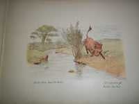 1888 LAST GRAPHIC PICTURES BOOK- RANDOLPH CALDECOTT- COLOR ILLUSTRATIONS- KD 999