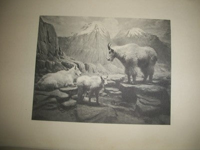 1929 THE ACADEMY OF NATURAL SCIENCES OF PHILADELPHIA YEARBOOK - YB 636