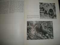 1949 12TH TWENTIETH CENTURY ITALIAN ART - JAMES SOBY & ALFRED BARR - KD 2841