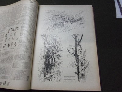 1894-1895 ART AMATEUR MAGAZINE BOUND VOLUME - GREAT ILLUSTRATIONS - KD 3045