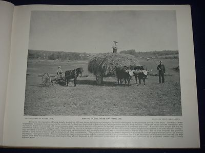 1894 CAMERA MOSAICS A PORTFOLIO OF NATIONAL PHOTOGRAPHY - GREAT PHOTOS - KD 1296