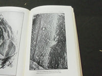 1913 28TH ANNUAL REPORT OF THE BUREAU OF ANIMAL INDUSTRY BOOK - KD 1775B