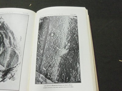 1913 28TH ANNUAL REPORT OF THE BUREAU OF ANIMAL INDUSTRY BOOK - KD 1775B