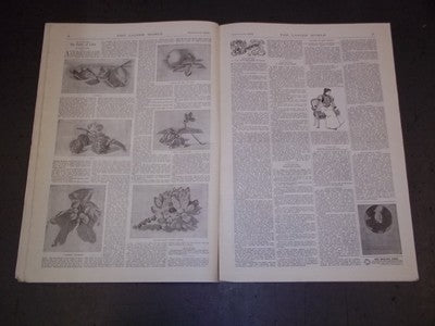 1898 SEPTEMBER THE LADIES' WORLD MAGAZINE - GREAT PHOTOS AND ADS - SP 3034