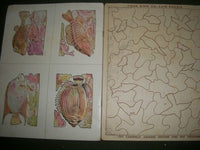 1932 PAINT WITHOUT PAINT MAGIC COLOR BOOK - CUTOUTS OF BIRDS & FISH - II 2407