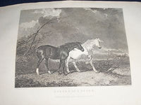 1828 THE SPORTING MAGAZINE PUB. IN LONDON LOT OF 6 - NICE ENGRAVINGS - WR 636
