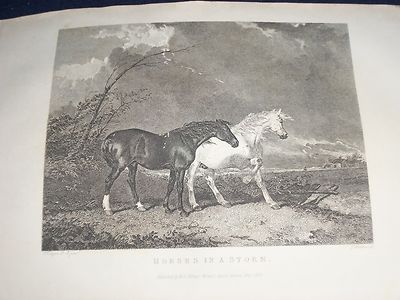 1828 THE SPORTING MAGAZINE PUB. IN LONDON LOT OF 6 - NICE ENGRAVINGS - WR 636