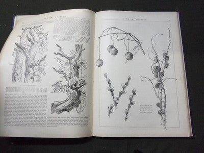 1895-1896 ART AMATEUR MAGAZINE BOUND VOLUME - GREAT ILLUSTRATIONS - KD 3050