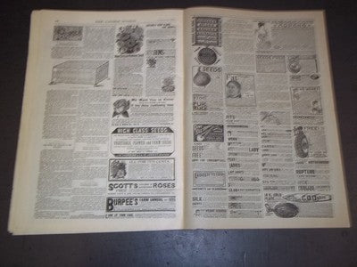1895 FEBRUARY THE LADIES' WORLD MAGAZINE - GREAT PHOTOS AND ADS - SP 3018