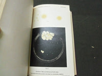 1913 28TH ANNUAL REPORT OF THE BUREAU OF ANIMAL INDUSTRY BOOK - KD 1775B