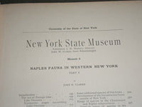 1903 NY STATE MUSEUM MEMOIR 6 PART 2 NAPLES FAUNA WESTERN NY - CLARKE - KD 960