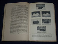 1923-1927 ALBERT EDWARD WIGGAM VOLUME LOT OF 3 - FAMILY TREE - PHOTOS - KD 797B