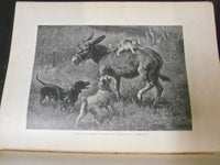 1901-1902 ART AMATEUR MAGAZINE BOUND VOLUME - GREAT ILLUSTRATIONS - KD 3051