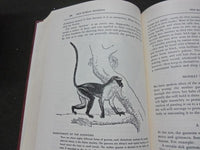 1954 THE ANIMAL KINGDOM BOOK LOT OF 3 - COMPLETE SET - ED. DRIMMER - KD 3754