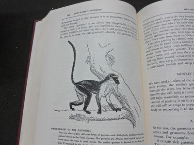 1954 THE ANIMAL KINGDOM BOOK LOT OF 3 - COMPLETE SET - ED. DRIMMER - KD 3754
