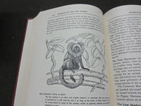 1954 THE ANIMAL KINGDOM BOOK LOT OF 3 - COMPLETE SET - ED. DRIMMER - KD 3754