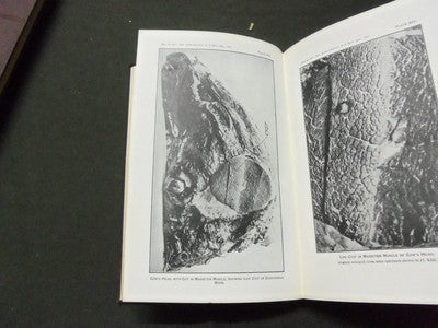 1913 28TH ANNUAL REPORT OF THE BUREAU OF ANIMAL INDUSTRY BOOK - KD 1775B