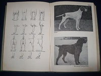 1964 THE COMPLETE DOG BOOK NEW REVISED EDITIION - KENNEL CLUB - PHOTOS - KD 926R