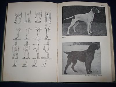 1964 THE COMPLETE DOG BOOK NEW REVISED EDITIION - KENNEL CLUB - PHOTOS - KD 926R