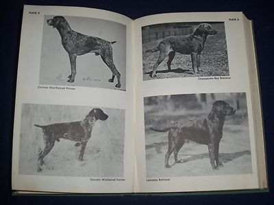 1964 THE COMPLETE DOG BOOK NEW REVISED EDITIION - KENNEL CLUB - PHOTOS - KD 926R