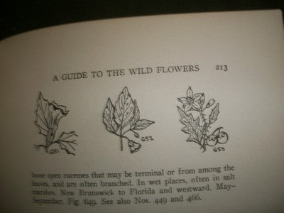1928 A GUIDE TO WILD FLOWERS BOOK NORMAN TAYLOR - EAST OF MISSISSIPPI - KD 684