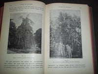 1906 PRAKTISCH HANDBOEK VOOR TUINLIEFHEBBERS BOOK - DUTCH - HARDCOVER - KD 727X