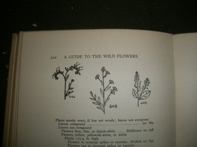 1928 A GUIDE TO WILD FLOWERS BOOK NORMAN TAYLOR - EAST OF MISSISSIPPI - KD 684