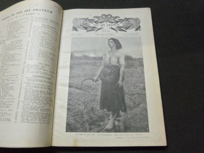 1901-1902 ART AMATEUR MAGAZINE BOUND VOLUME - GREAT ILLUSTRATIONS - KD 3051