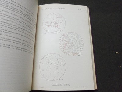 1913 28TH ANNUAL REPORT OF THE BUREAU OF ANIMAL INDUSTRY BOOK - KD 1775B
