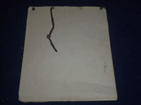 1920 AMHERST COLLEGE CALENDAR - LEATHER COVER - GREAT SPORT PHOTOS - II 9546