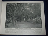 1894 CAMERA MOSAICS A PORTFOLIO OF NATIONAL PHOTOGRAPHY - GREAT PHOTOS - KD 1296