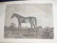 1828 THE SPORTING MAGAZINE PUB. IN LONDON LOT OF 6 - NICE ENGRAVINGS - WR 636