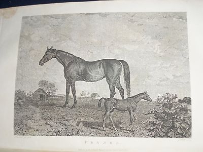 1828 THE SPORTING MAGAZINE PUB. IN LONDON LOT OF 6 - NICE ENGRAVINGS - WR 636