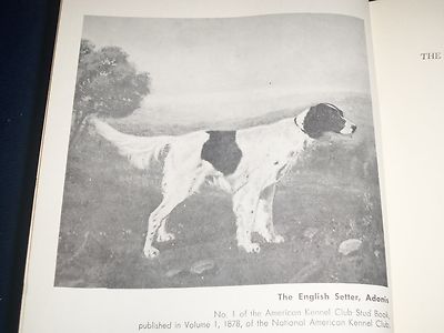 1964 THE COMPLETE DOG BOOK NEW REVISED EDITIION - KENNEL CLUB - PHOTOS - KD 926R