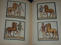 1881 ATTI DELLA R. ACCADEMIA DEI LINCHEI 3RD SERIES VOLS 7 + 9 LOT OF 2- KD 1321