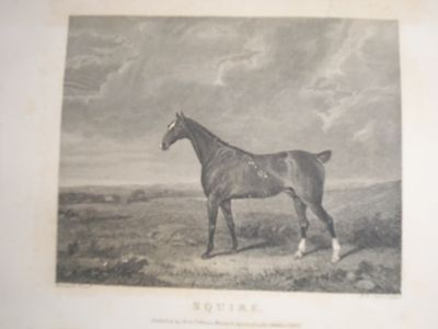 1833 THE SPORTING MAGAZINE PUB. IN LONDON LOT OF 3 - NICE ENGRAVINGS - WR 631