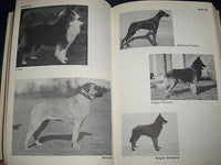 1964 THE COMPLETE DOG BOOK NEW REVISED EDITIION - KENNEL CLUB - PHOTOS - KD 926R