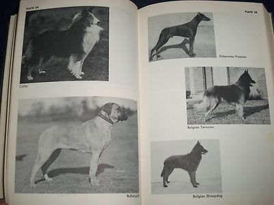 1964 THE COMPLETE DOG BOOK NEW REVISED EDITIION - KENNEL CLUB - PHOTOS - KD 926R