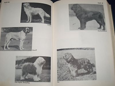1964 THE COMPLETE DOG BOOK NEW REVISED EDITIION - KENNEL CLUB - PHOTOS - KD 926R