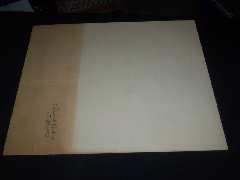 1965 QUICK BEFORE IT MELTS 1/2 SHEET MOVIE POSTER - GEORGE MAHARIS - P 447