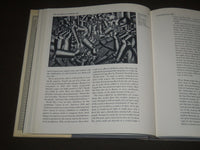1981 THE MEANINGS OF MODERN ART BY JOHN RUSSELL BOOK - I 1161