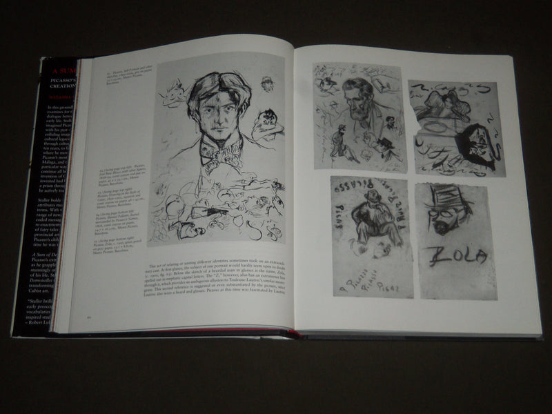 2001 A SUM OF DESTRUCTIONS BY NATASHA STALLER HARDCOVER BOOK - I 1117