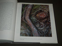1990 NATURE'S CHAOS BY PORTER & GLEICK BOOK - FIRST EDITION - I 1080