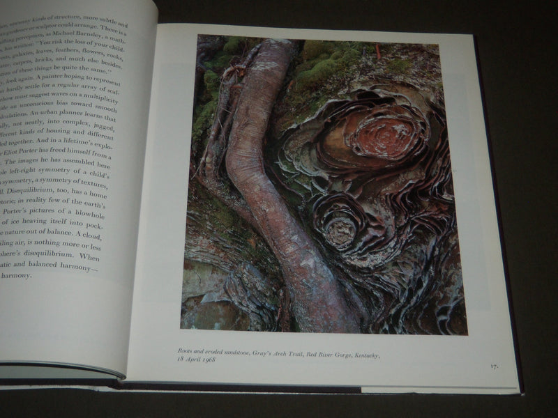1990 NATURE'S CHAOS BY PORTER & GLEICK BOOK - FIRST EDITION - I 1080