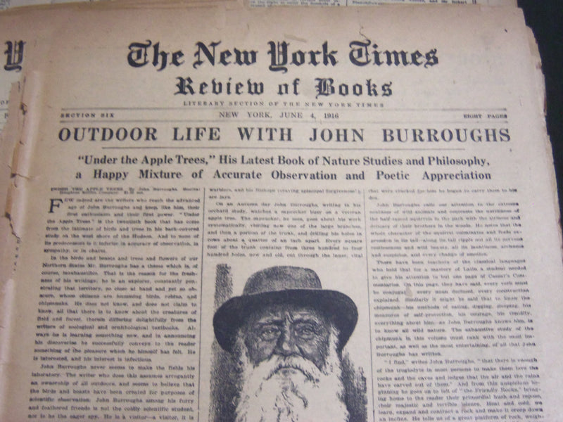 1913-1919 NEW YORK TIMES REVIEW OF BOOK SECTIONS LOT OF 14 DIFFERENT - NP 2689